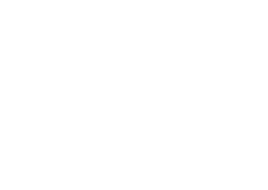 SPEEDpage